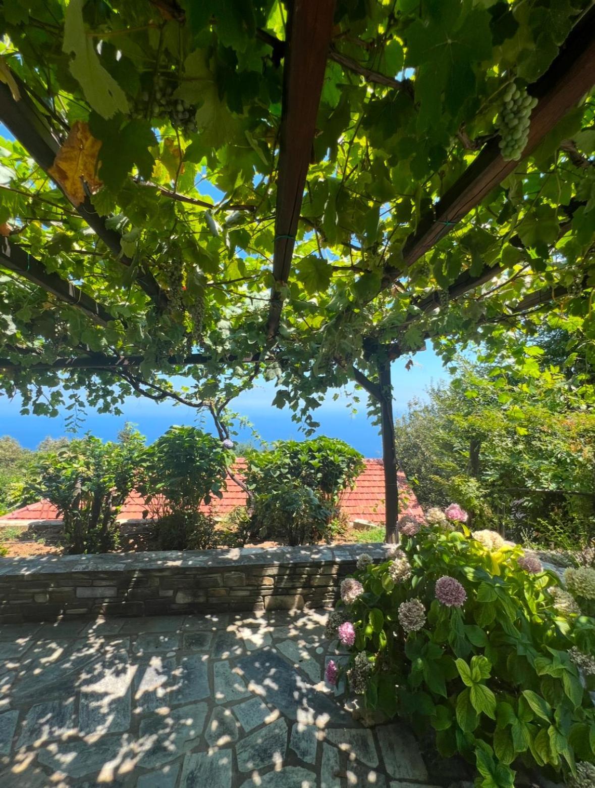 Om Living Pelion Áyios Dhimítrios Exterior foto